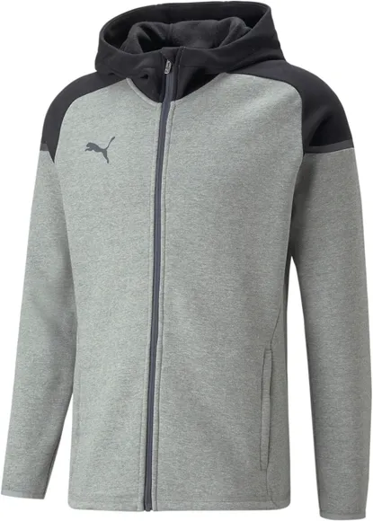 Толстовка Puma teamCUP Casuals Hooded Jkt 65798713