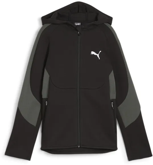 Толстовка Puma EVOSTRIPE Full-Zip Hoodie DK B