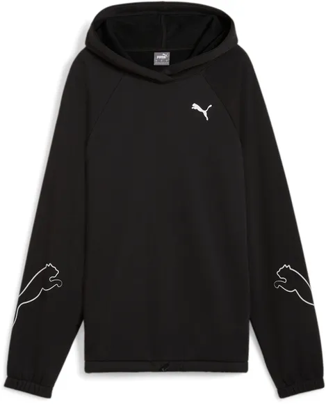 Толстовка PUMA MOTION Hoodie FL