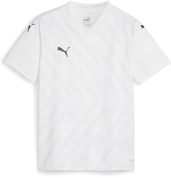 Футболка Puma teamGLORY Jersey Jr 70574104