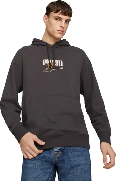 Толстовка Puma DOWNTOWN Graphic Hoodie TR 53824401