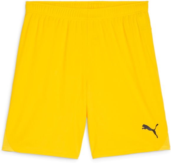 Шорты Puma teamGOAL Shorts