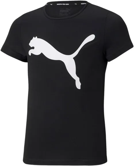 Футболка Puma ACTIVE Tee G