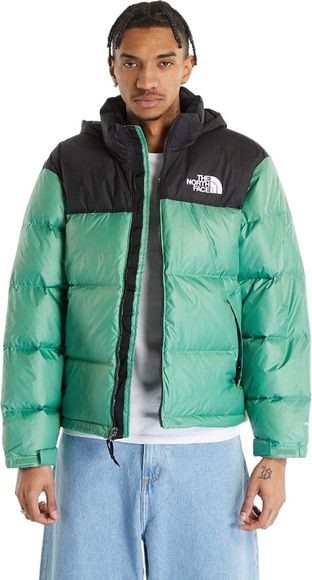 Куртка The North Face M 1996 Retro Nuptse Jacket TA3C8DN11