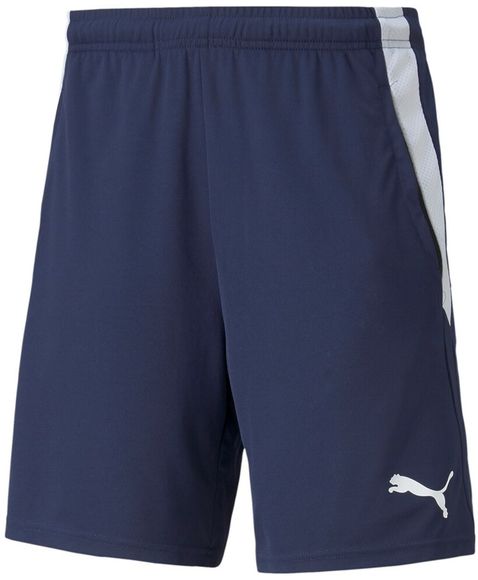 Шорты Puma teamLIGA Training Shorts 2 (open pockets) 65766706