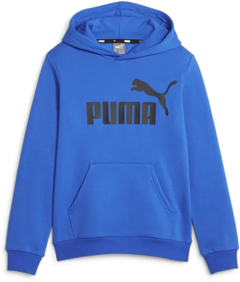 Толстовка Puma ESS Big Logo Hoodie FL B 58696547