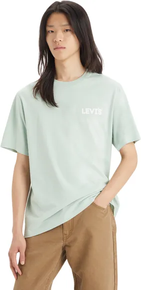 Футболка Levis SS RELAXED FIT TEE GREENS 16143-1374