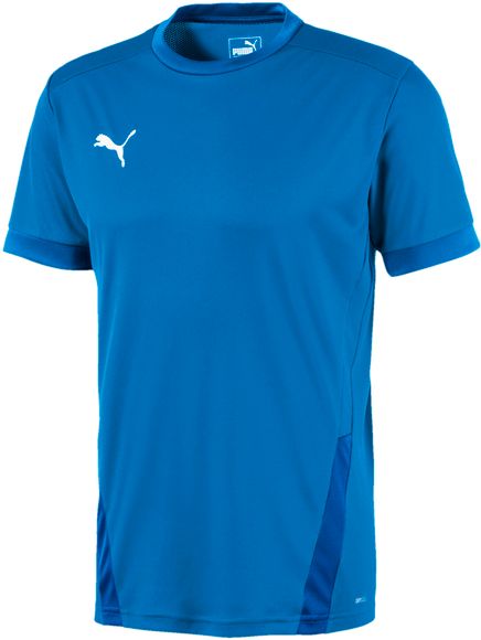 Футболка Puma teamGOAL 23 Jersey Electric Blue Lemonad 70417102